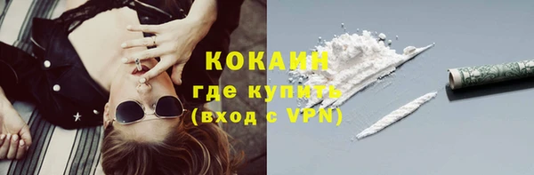 молекула духа Горно-Алтайск
