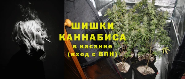 spice Горняк